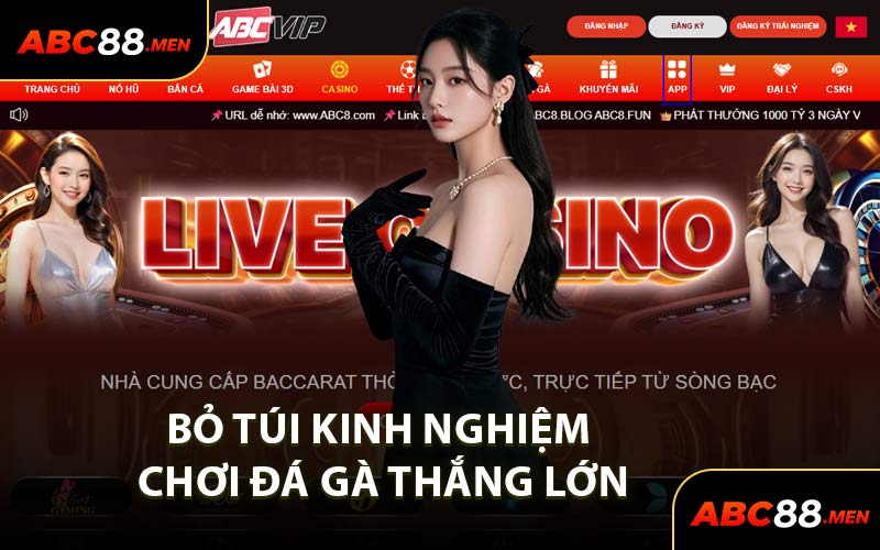 Bỏ Túi Kinh Nghiệm Chơi Đá Gà Thắng Lớn