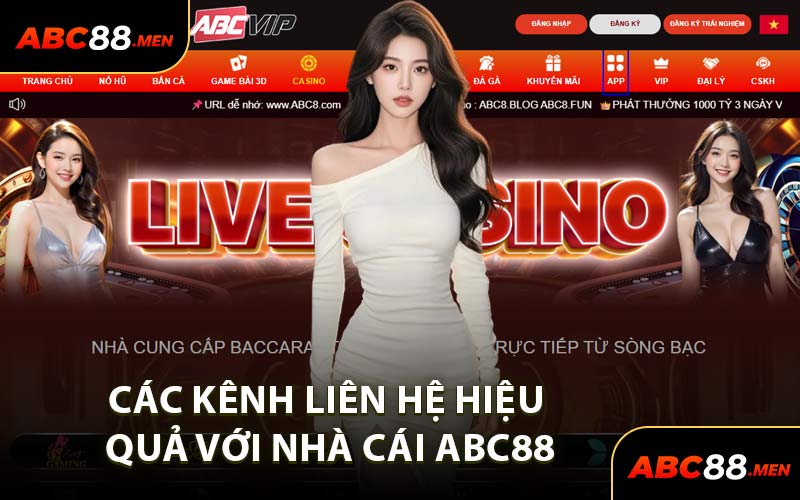 Các Kênh Liên Hệ Hiệu Quả Với Nhà Cái ABC88