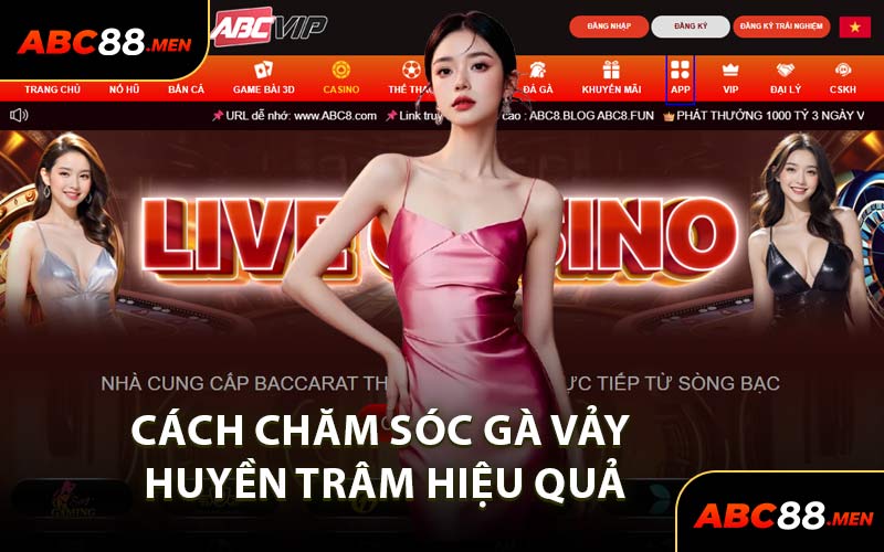 Cách Chăm Sóc Gà Vảy Huyền Trâm Hiệu Quả