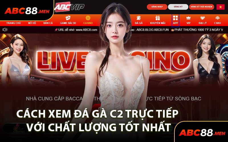 Cách Xem Đá Gà C2 Trực Tiếp Với Chất Lượng Tốt Nhất
