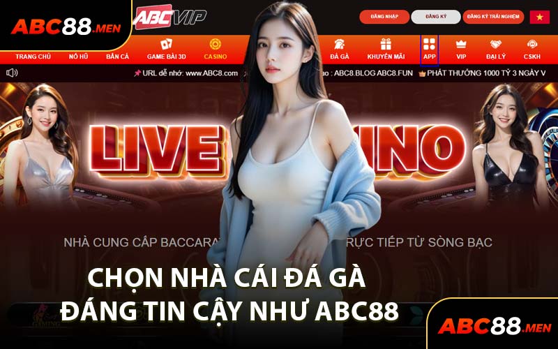 Chọn Nhà Cái Đá Gà Đáng Tin Cậy Như ABC88