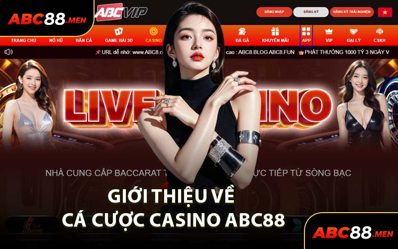 Giới Thiệu Về Cá Cược Casino ABC88