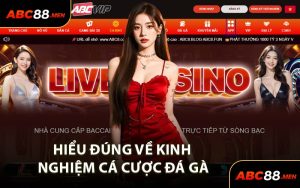 Hiểu Đúng Về Kinh Nghiệm Cá Cược Đá Gà