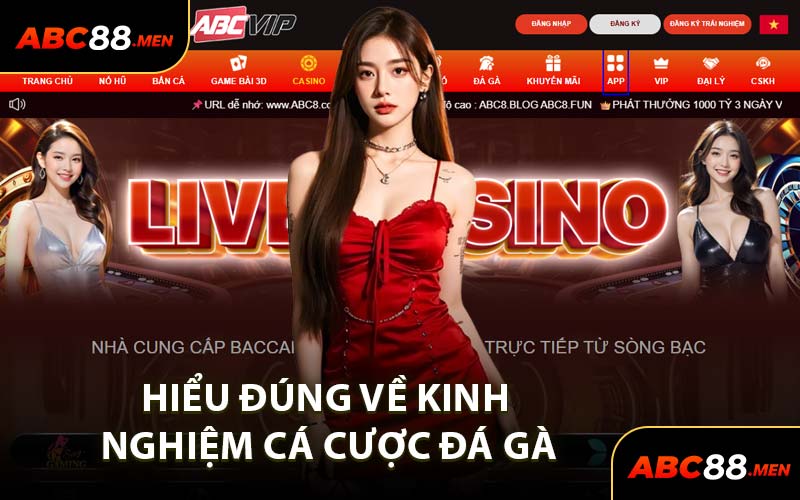 Hiểu Đúng Về Kinh Nghiệm Cá Cược Đá Gà