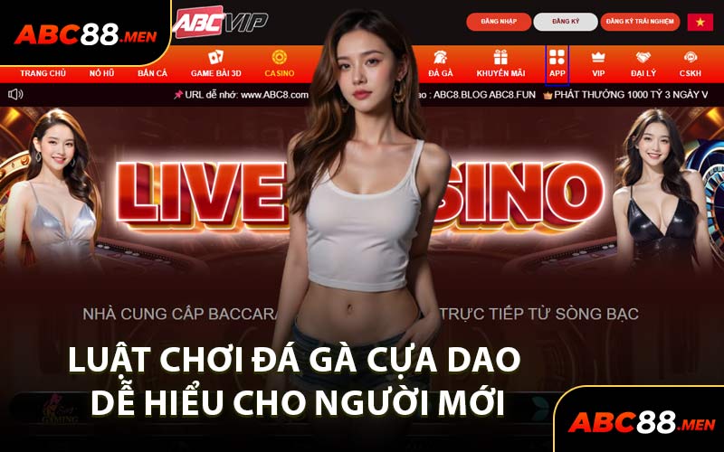 Luật Chơi Đá Gà Cựa Dao Dễ Hiểu Cho Người Mới