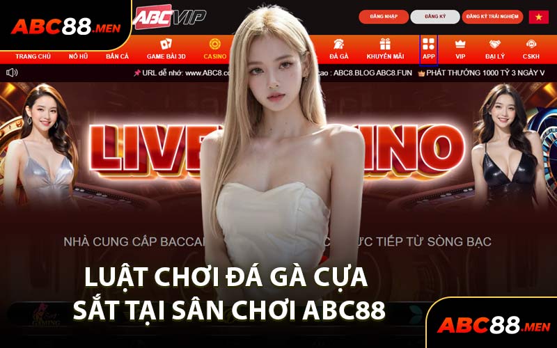 Luật Chơi Đá Gà Cựa Sắt Tại Sân Chơi ABC88