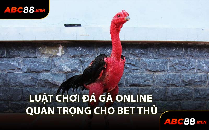Luật chơi đá gà online quan trọng cho bet thủ