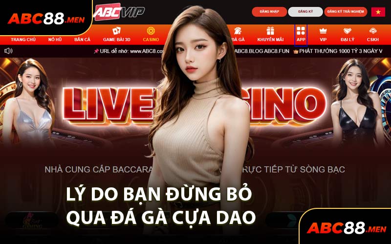Lý Do Bạn Đừng Bỏ Qua Đá Gà Cựa Dao