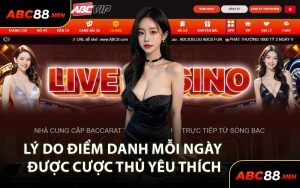 Lý Do Điểm Danh Mỗi Ngày Được Cược Thủ Yêu Thích