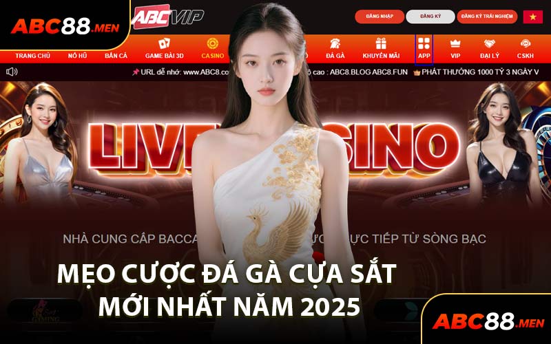 Mẹo Cược Đá Gà Cựa Sắt Mới Nhất Năm 2025