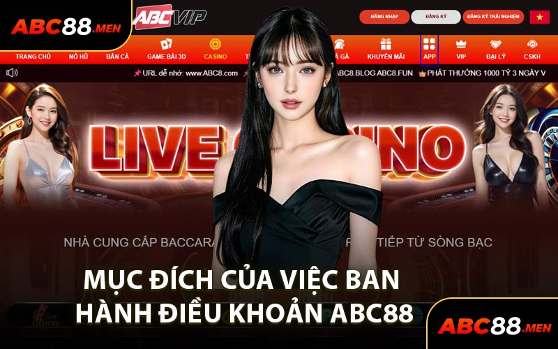 Mục Đích Của Việc Ban Hành Điều Khoản ABC88