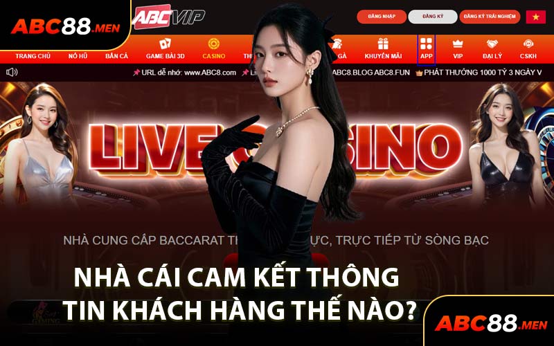 Nhà Cái Cam Kết Thông Tin Khách Hàng Thế Nào?