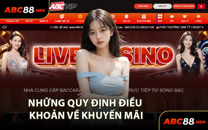Những Quy Định Điều Khoản Về Khuyến Mãi