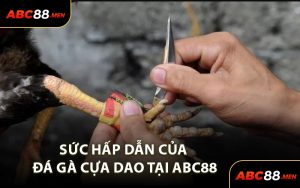 Sức Hấp Dẫn Của Đá Gà Cựa Dao Tại ABC88