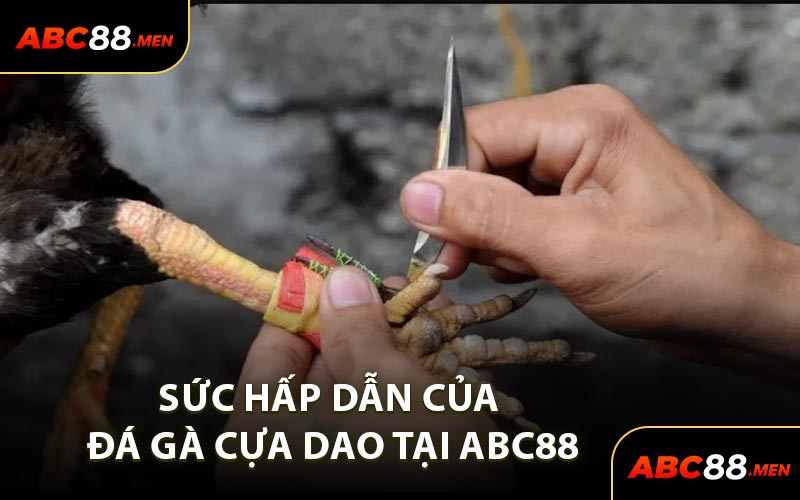 Sức Hấp Dẫn Của Đá Gà Cựa Dao Tại ABC88