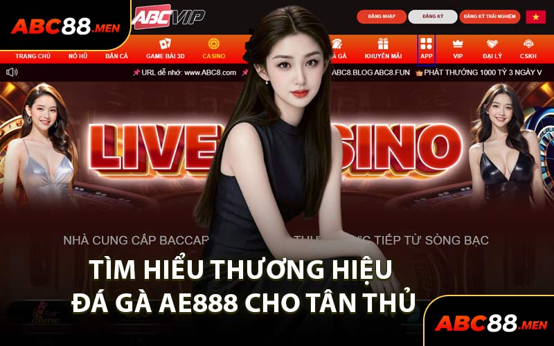 Tìm Hiểu Thương Hiệu Đá Gà AE888 Cho Tân Thủ