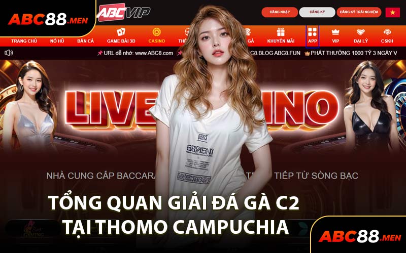 Tổng Quan Giải Đá Gà C2 Tại Thomo Campuchia