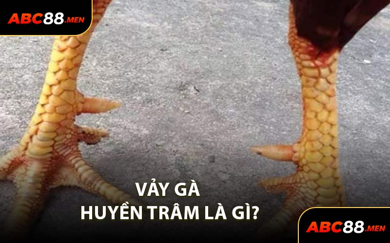 Vảy Gà Huyền Trâm Là Gì?